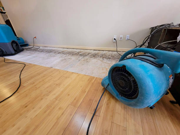 Professional Flood Damage Cleanup technician working in Covington, LA